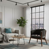 Modern European furniture - Walnut Framed Curve Accent Chairs 2 - www.oroa.com