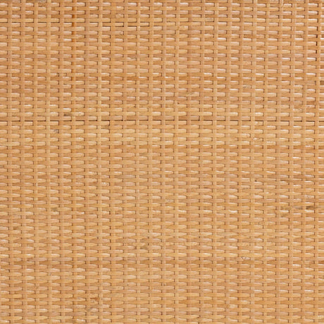 Modern European furniture - Geometrical Rattan 2 Door Cabinet - www.oroa.com