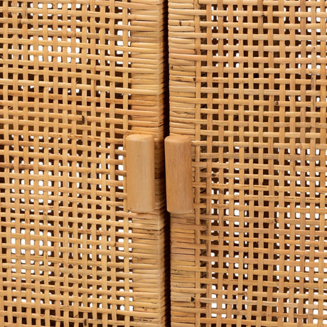 Modern European furniture - Mahogany Framed Rattan Cabinet - www.oroa.com