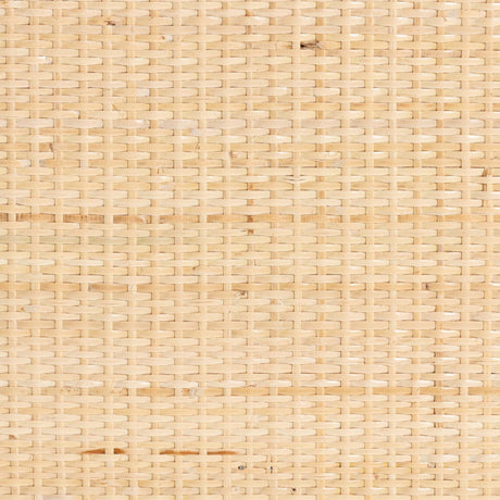 Modern European furniture - Floral Woven 2 Door Cabinet - www.oroa.com
