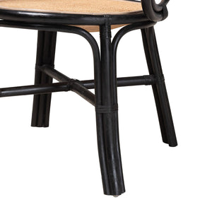 Modern European furniture - Black Framed Rattan Dining Chair - www.oroa.com