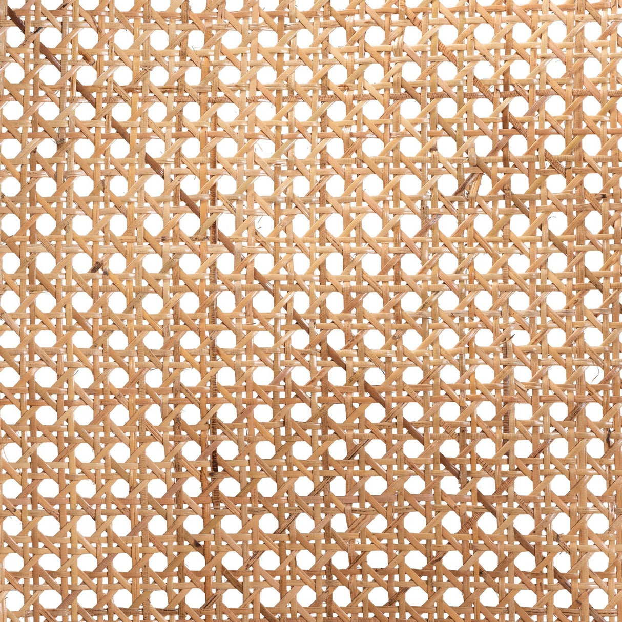 Modern European furniture - Black Framed Rattan Dining Chair - www.oroa.com