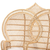 Modern European furniture - 2 Seater Rattan Peacock Chair - www.oroa.com