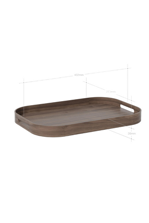 Matte Lacquered Rectangular Tray S | Wireworks Bellhop | Oroa.com