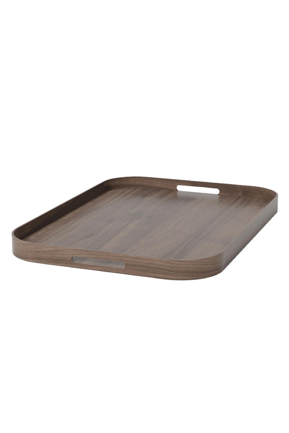 Matte Lacquered Rectangular Tray L | Wireworks Bellhop | Oroa.com