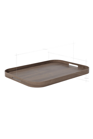 Matte Lacquered Rectangular Tray L | Wireworks Bellhop | Oroa.com