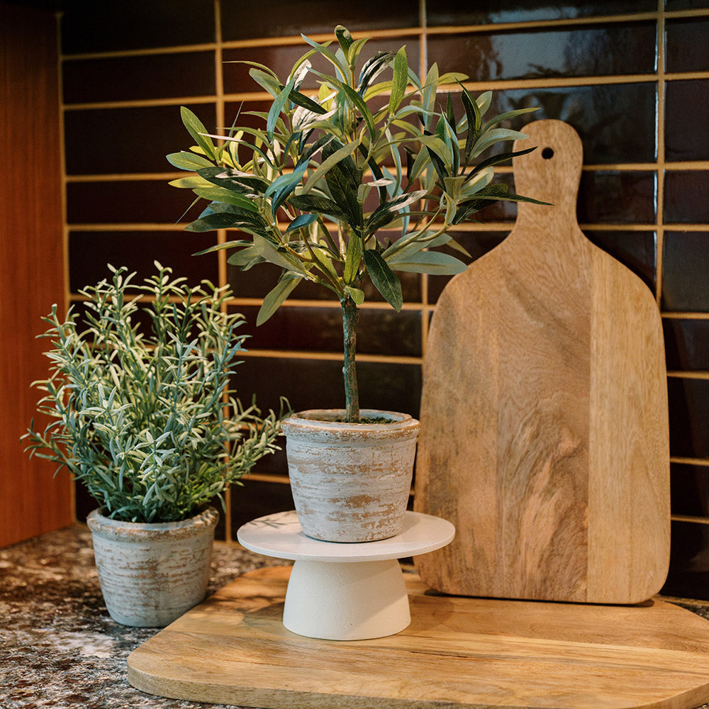 12" Rosemary & 16" Olive Faux Topiary (S/2) - OROA