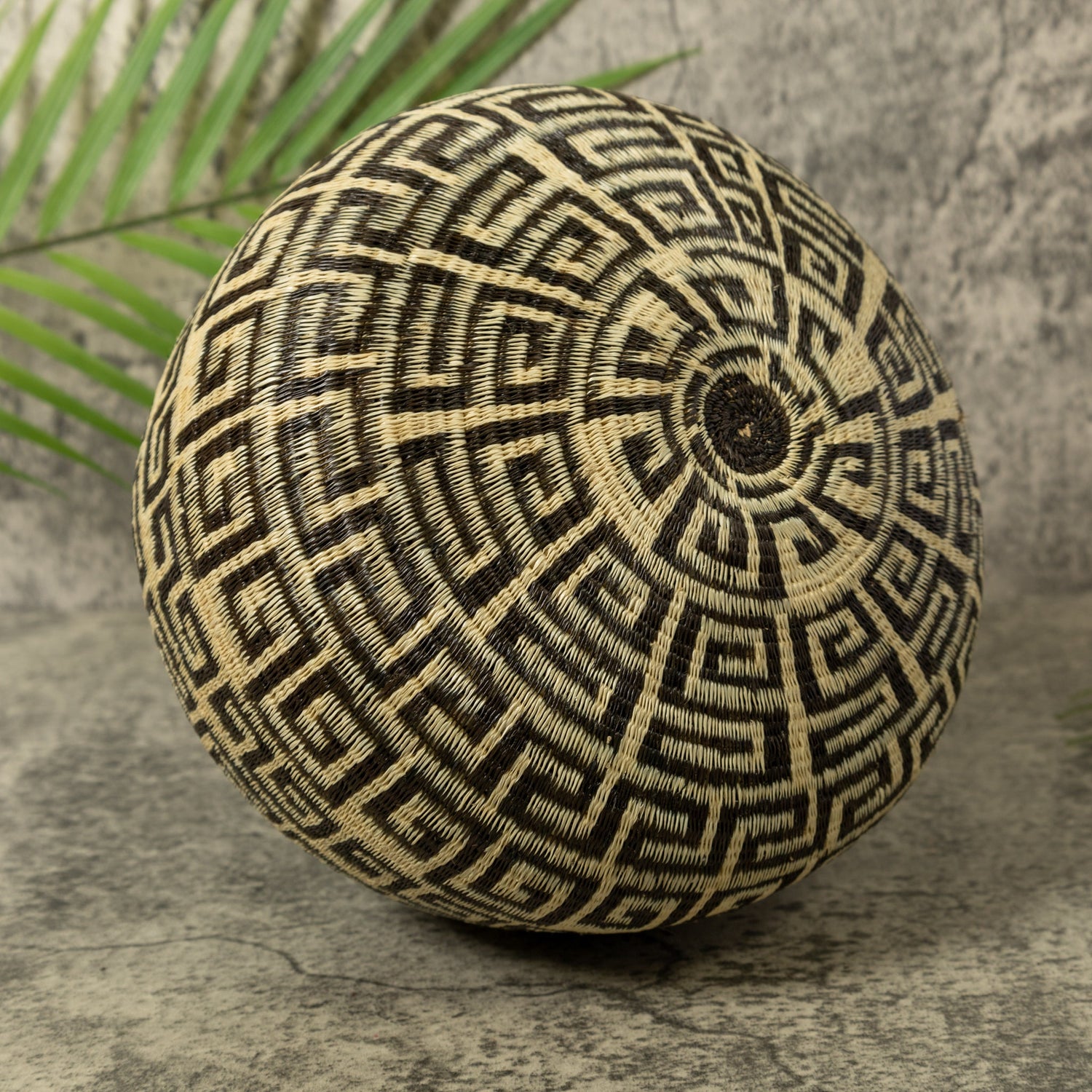 Black And White Greek Key Design Rainforest Basket