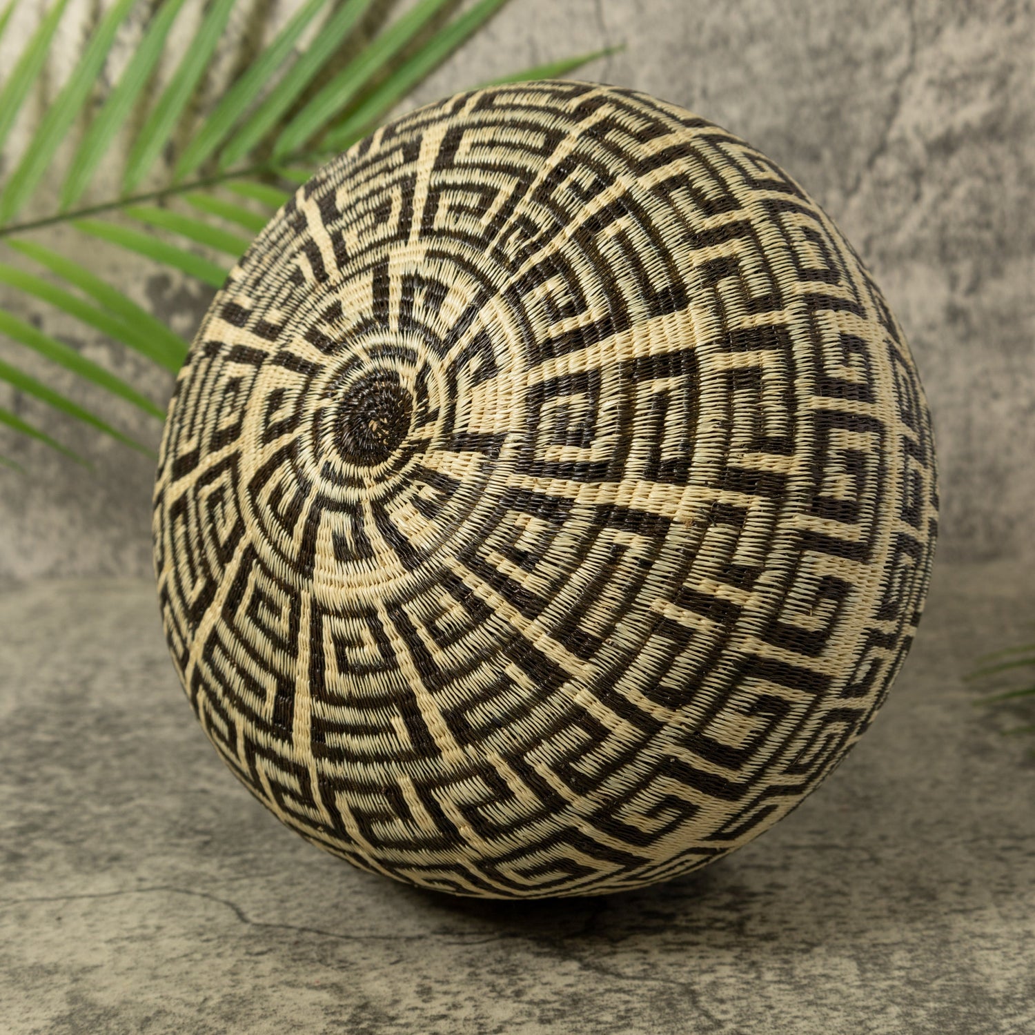 Black And White Greek Key Design Rainforest Basket