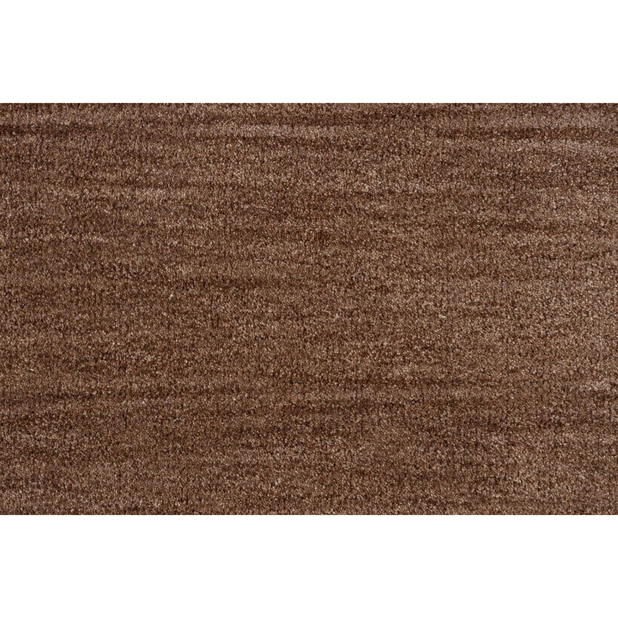   Minimalist Earthy-Toned Carpet 5' x 7' | Oroa.com