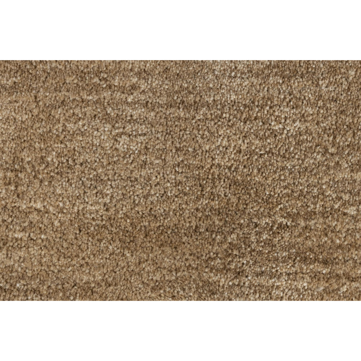   Minimalist Earthy-Toned Carpet 6' x 10' | Oroa.com