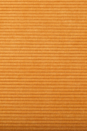 Cantilevered Ribcord Dining Chair (2) | Zuiver Ridge | Oroa.com