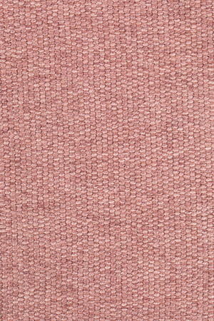 Padded Shell Dining Chairs (2) | Zuiver Albert Kuip | Oroa.com