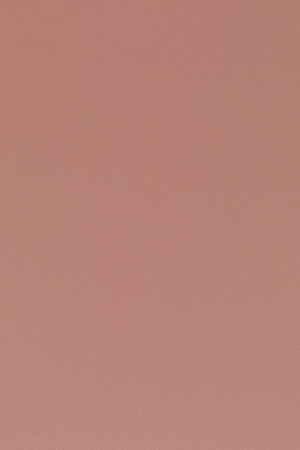 Modern Molded Dining Chairs (2) | DF Pip | Oroa.com