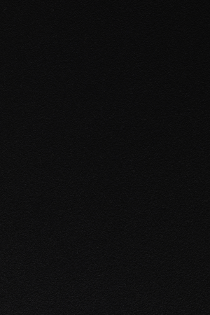 Modern Molded Dining Chairs (2) | DF Pip | Oroa.com