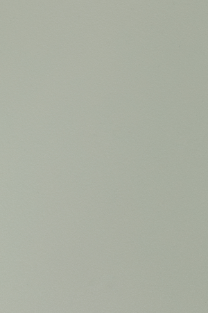 Modern Molded Dining Chairs (2) | DF Pip | Oroa.com