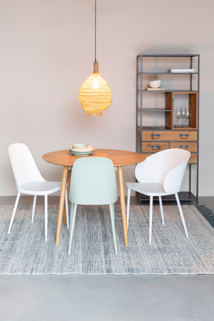 Modern Molded Dining Chairs (2) | DF Pip | Oroa.com