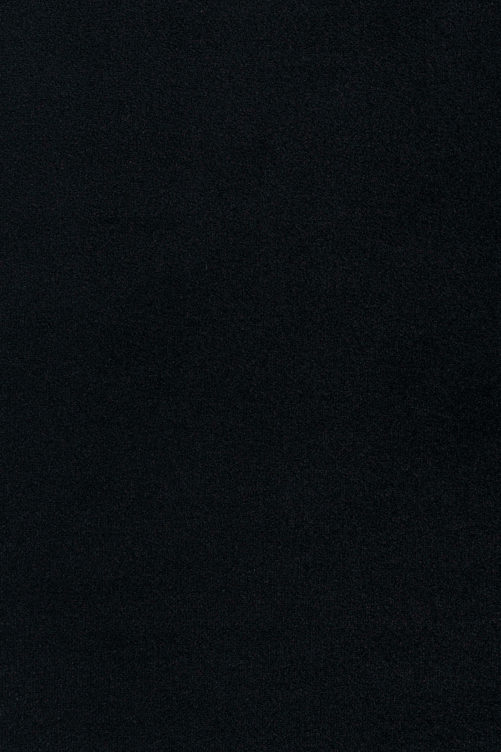 Modern Dining Armchair Set (2) | Zuiver Alba | OROA.com