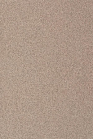 Modern Dining Armchair Set (2) | Zuiver Alba | OROA.com