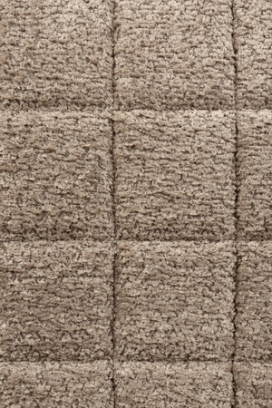 Quadrupod Shell Dining Chairs (2) | Zuiver OMG | OROA.com