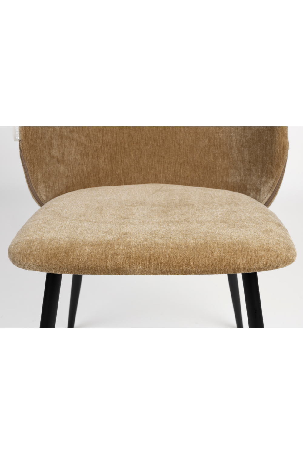 Velvet Curved Dining Chairs (2) | Zuiver Cozy | OROA.com