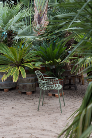 Aluminum Garden Dining Armchairs (2) | Zuiver Albert Kuip | Oroa.com