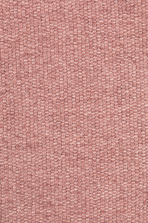 Fabric Upholstered Dining Armchairs (2) | Zuiver Albert Kuip | Oroa.com