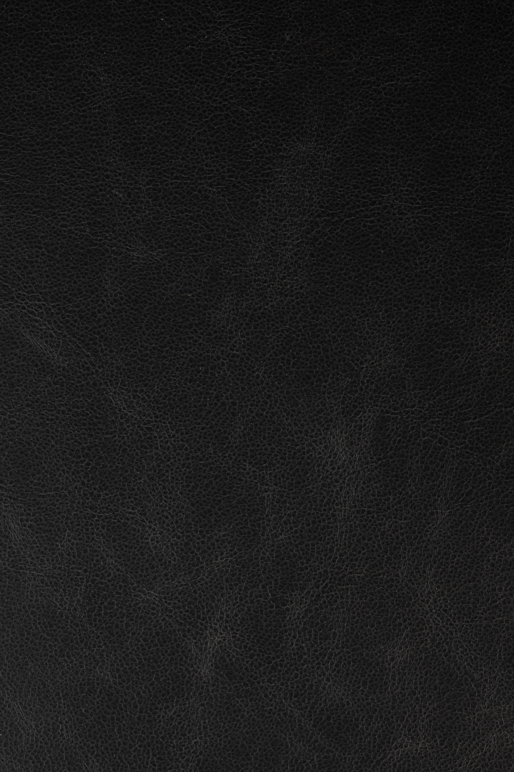 Leather Upholstered Counter Stools (2) | Zuiver Brit | OROA.com