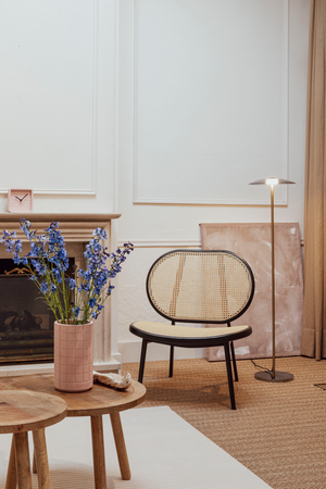 Webbed Back Lounge Chair | Zuiver Spike | Oroa.com