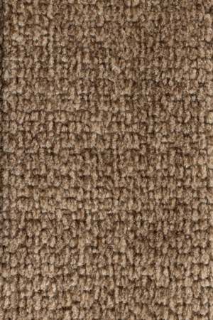 Round Modern Lounge Chair | Zuiver Eden | OROA.com