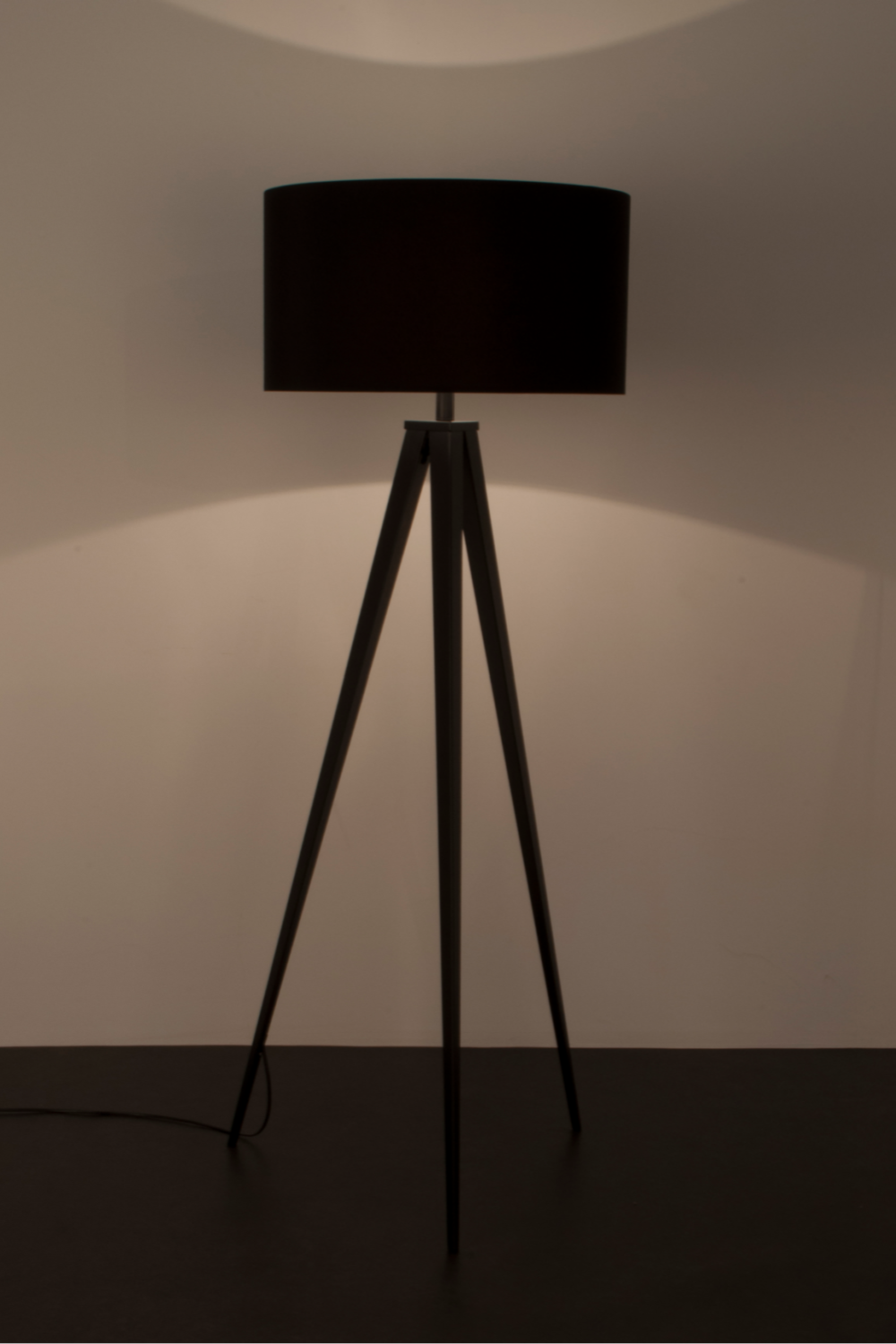 Minimalist Floor Lamp | Zuiver Tripod | Oroa.com