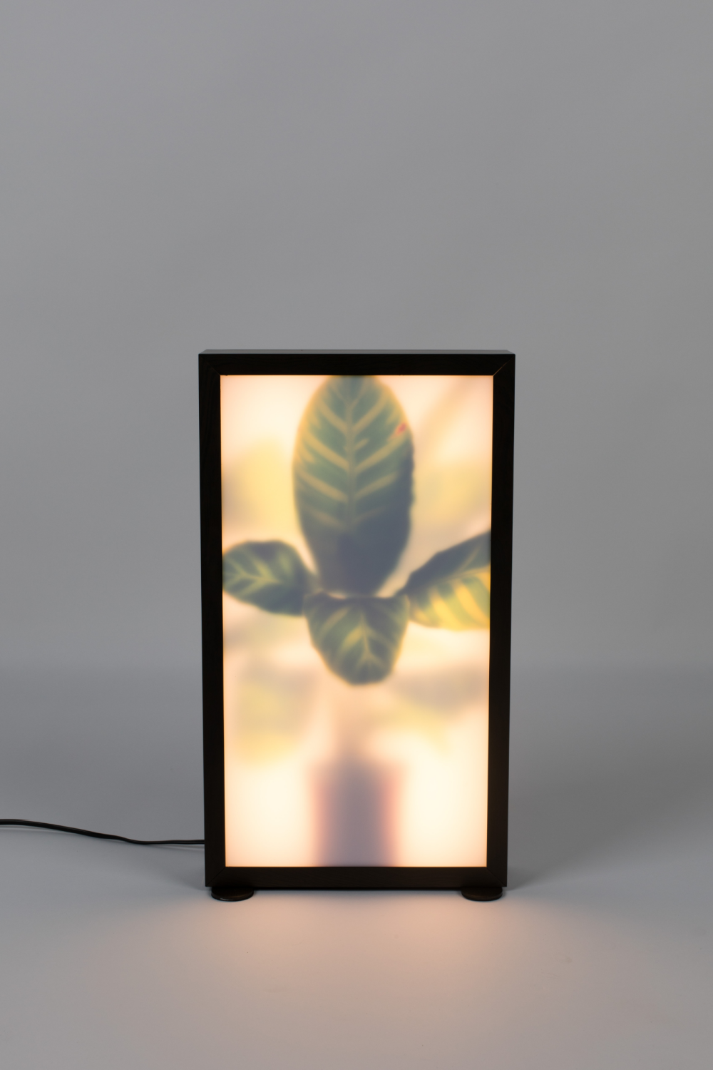 Houseplant Glass Floor Lamp | Zuiver Grow | Oroa.com