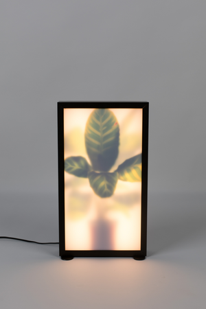 Houseplant Glass Floor Lamp | Zuiver Grow | Oroa.com
