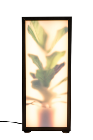 Houseplant Glass Floor Lamp | Zuiver Grow | Oroa.com