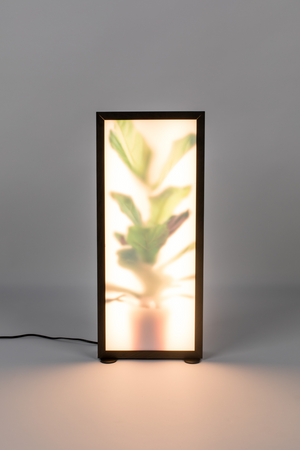 Houseplant Glass Floor Lamp | Zuiver Grow | Oroa.com