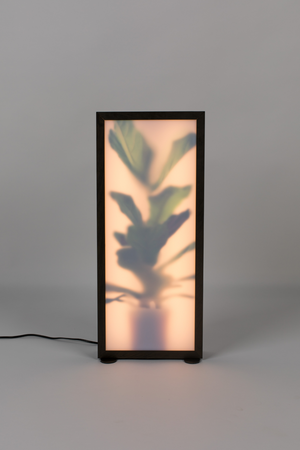 Houseplant Glass Floor Lamp | Zuiver Grow | Oroa.com