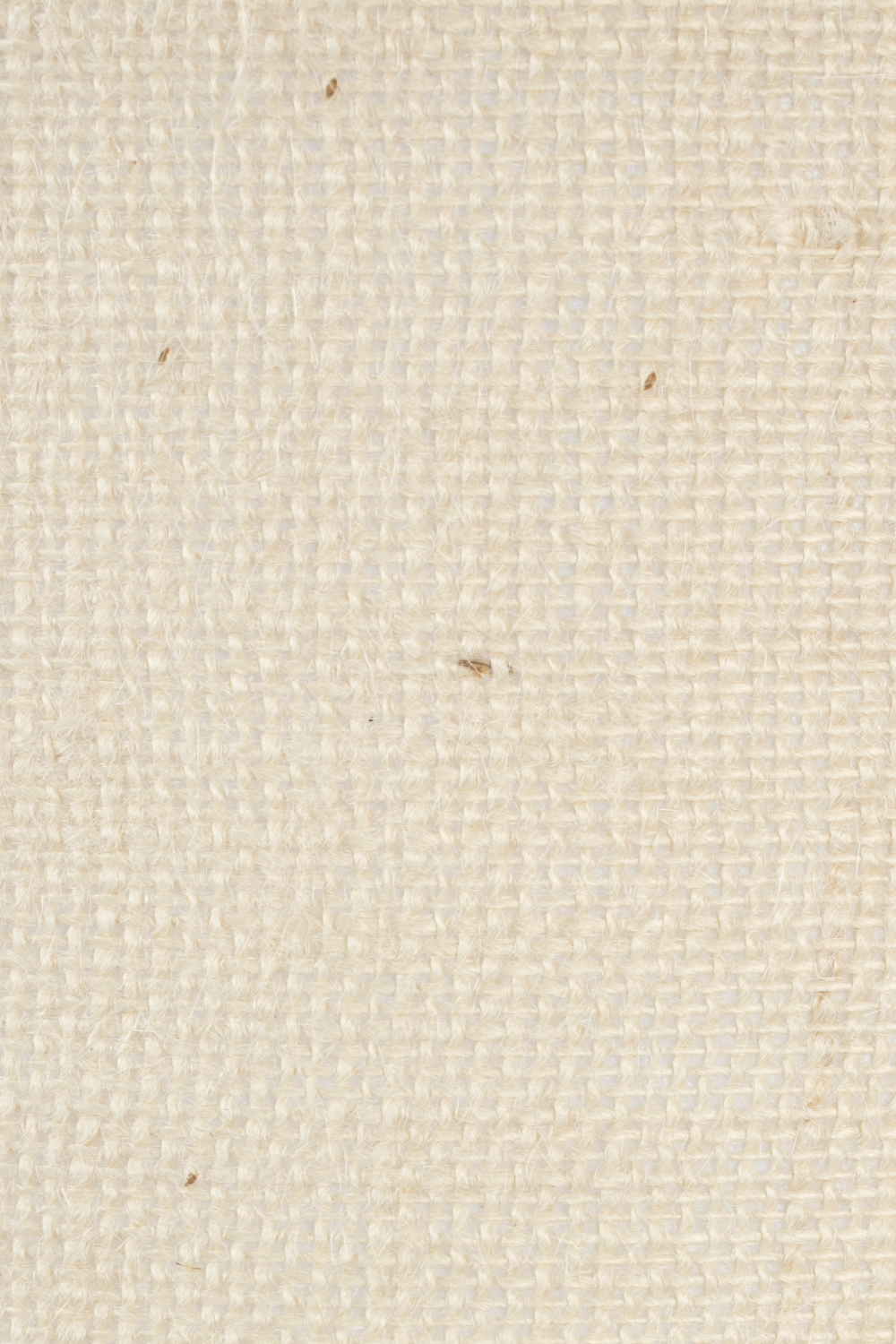 Minimalist Tripod Floor Lamp | Zuiver Fan | OROA.com