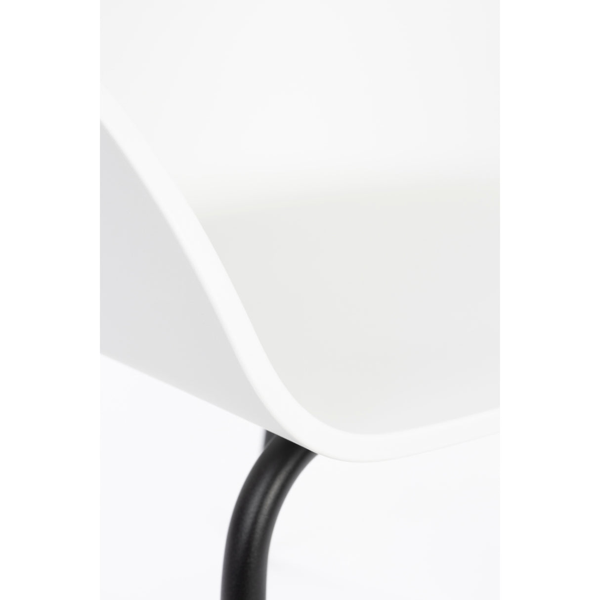   Modern furniture - Curved Molded Dining Armchairs (2) - www.oroa.com | Oroa.com