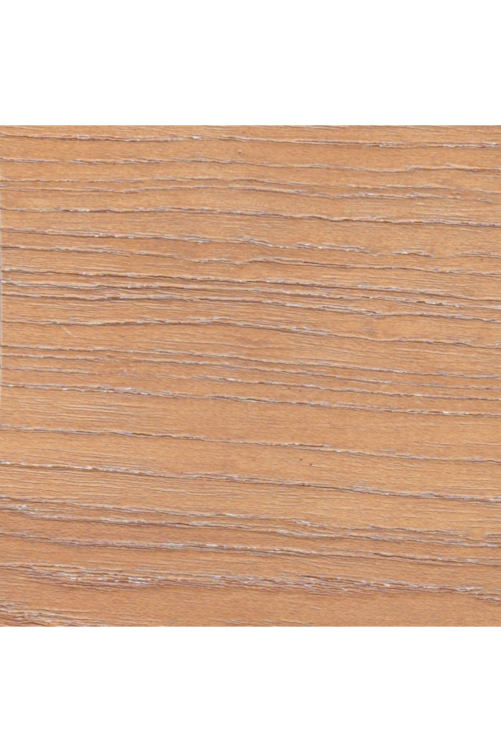 Brown Leather Seat Dining Chairs (2) | OROA Modern Pioro } Oroa.com