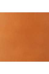 Tan Leather Accent Chair | OROA Modern Doek | Oroa.com