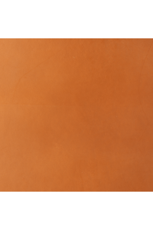 Tan Leather Accent Chair | OROA Modern Doek | Oroa.com