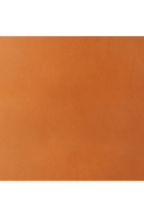 Tan Leather Accent Chair | OROA Modern Doek | Oroa.com