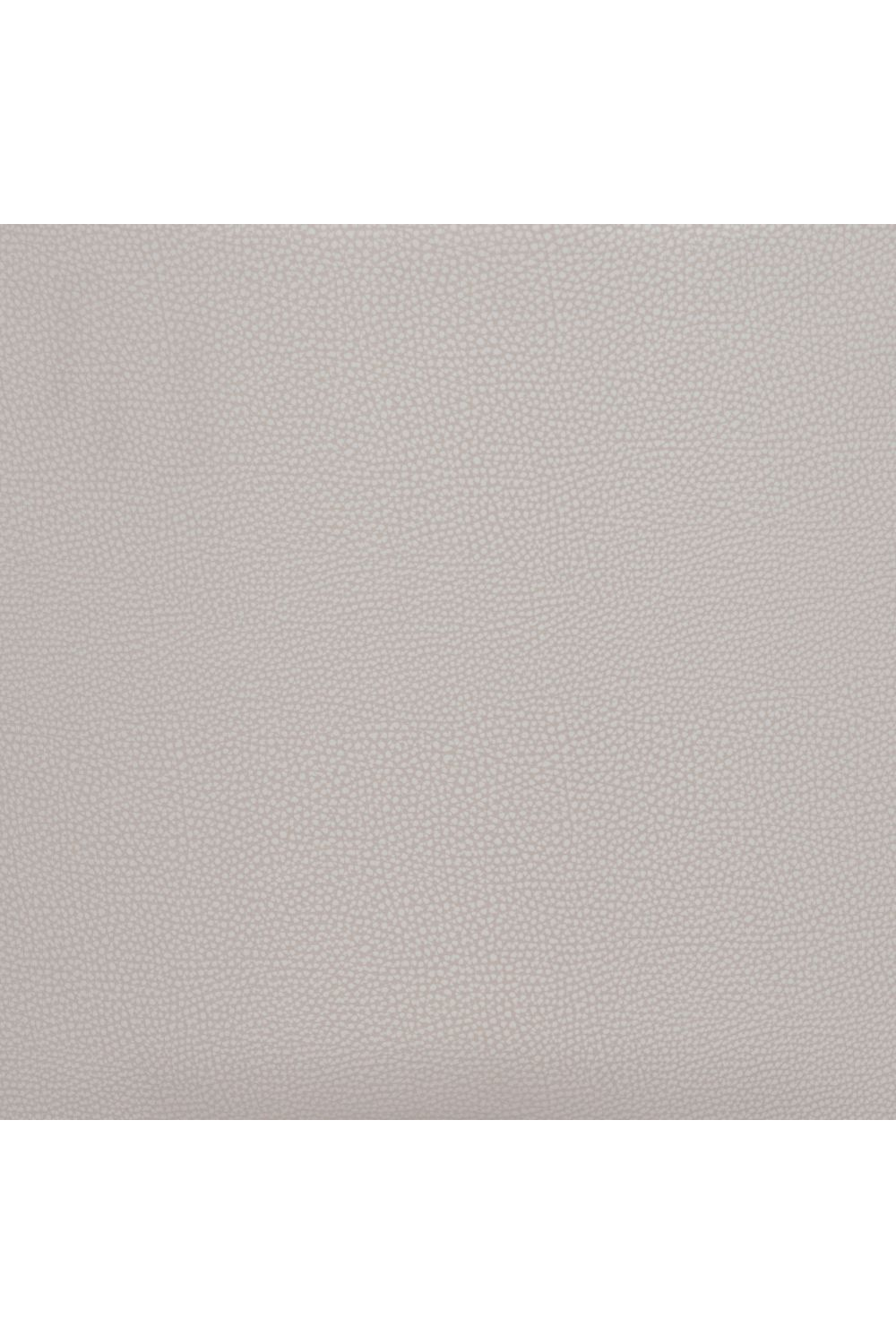 Beige Leather Dining Chair | OROA Modern Brew | Oroa.com