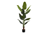 Tall Artificial Strelitzia Tree Indoor Plant - Natural Look