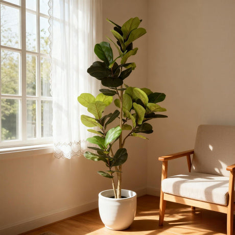 Fiddle Leaf Fig Tree - Natural Look