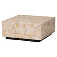 Capiz Shell Coffee Table by Catchy – OROA