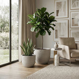 Round Concrete Planter (S/2)