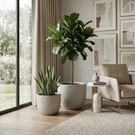 Round Concrete Planter (S/2)