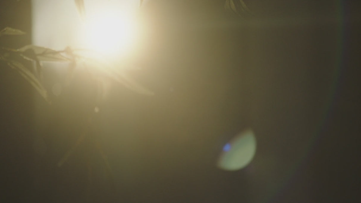 Rectangular Black Oak Dining Table | Ethnicraft Mikado | Oroa.com