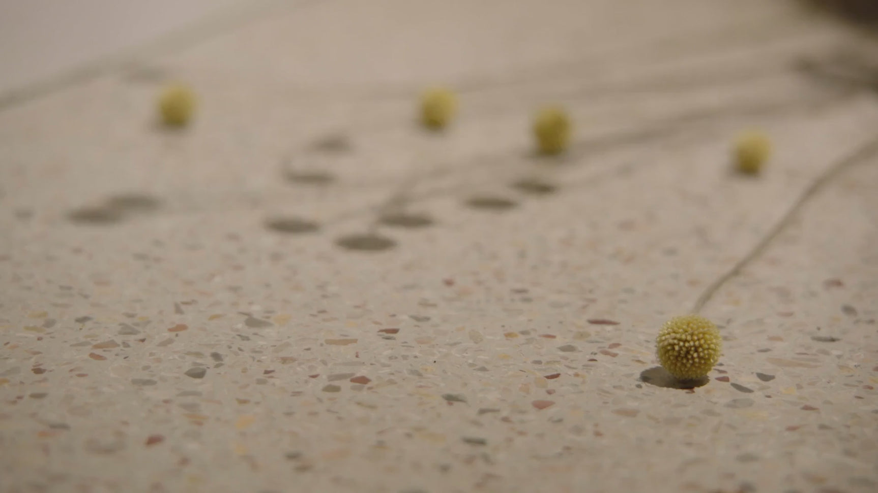 Natural Teak Bench | Ethnicraft Bok | Oroa.com